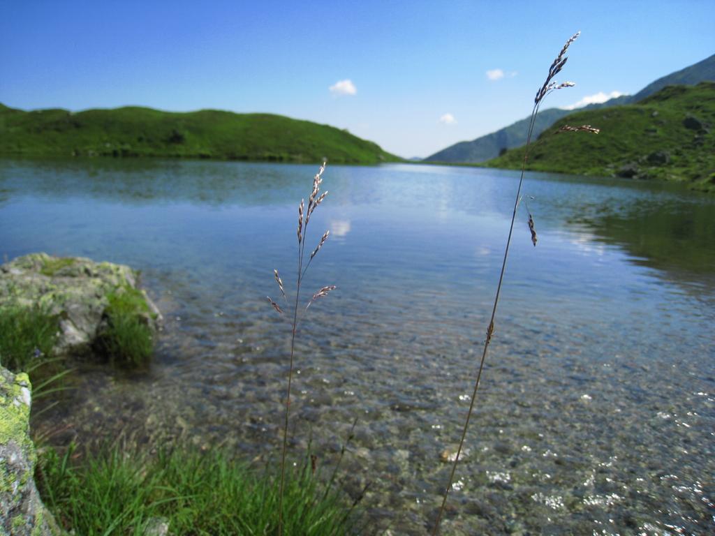 Maurerhof